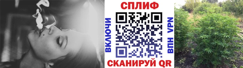 Бошки марихуана VHQ  где купить наркоту  Сызрань 